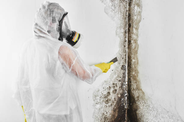 Best Mold Testing  in Sauk City, WI