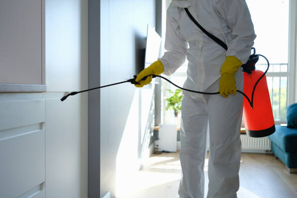 Attic Mold Removal in Sauk City, WI